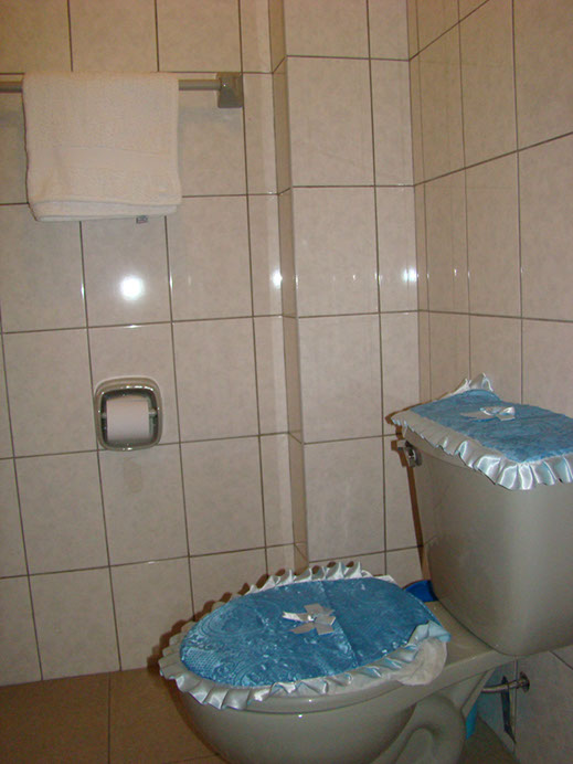 DSC07187