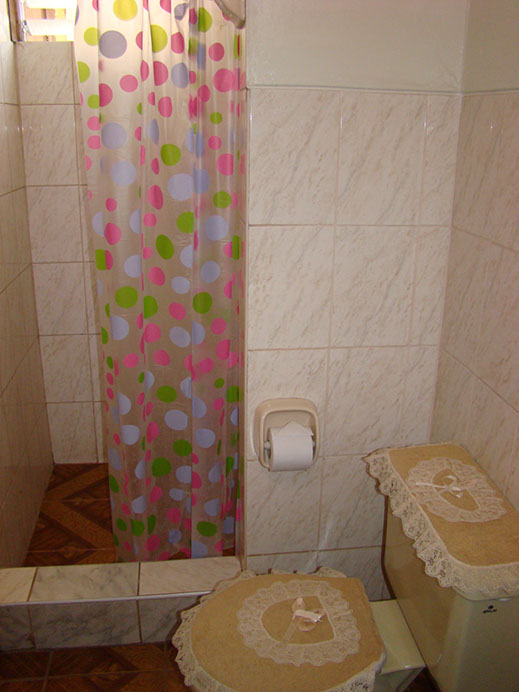 DSC07241